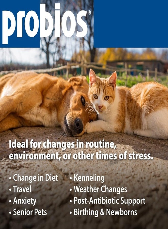 Probios for Dogs Soft Chews, Probiotics for Dogs, Daily Supplement for Gut Health, Digestion & Immune Support, Small Breeds, 4.23oz (Pack of 2) - Image 5